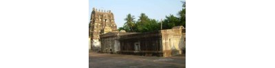 219. திருத்தினைநகர்